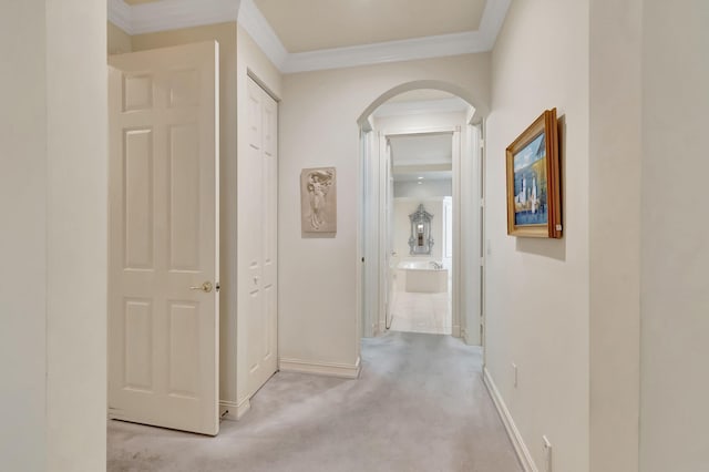 hall with crown molding and light colored carpet