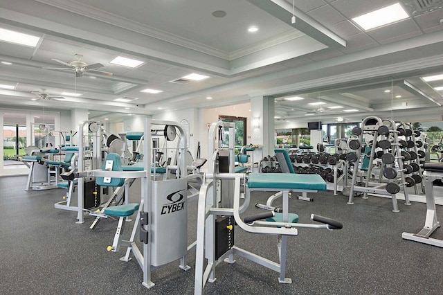 exercise room featuring a drop ceiling, crown molding, ceiling fan, and a healthy amount of sunlight