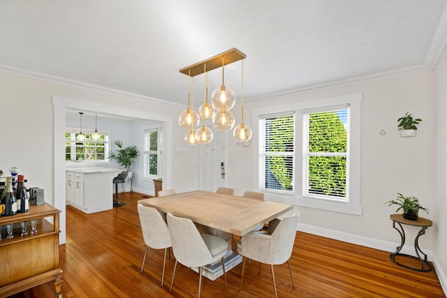 dining room with hardwood / wood-style flooring and crown molding