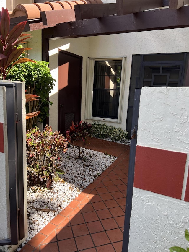 view of exterior entry with stucco siding