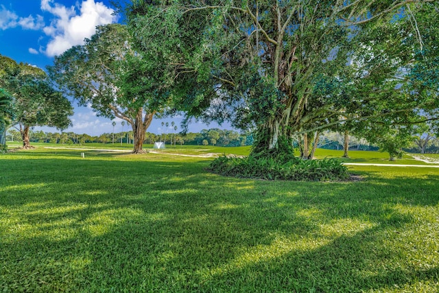 view of community featuring a lawn