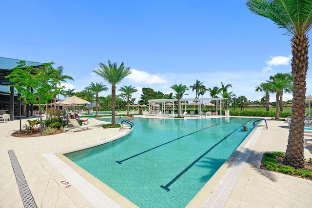 view of swimming pool featuring a patio