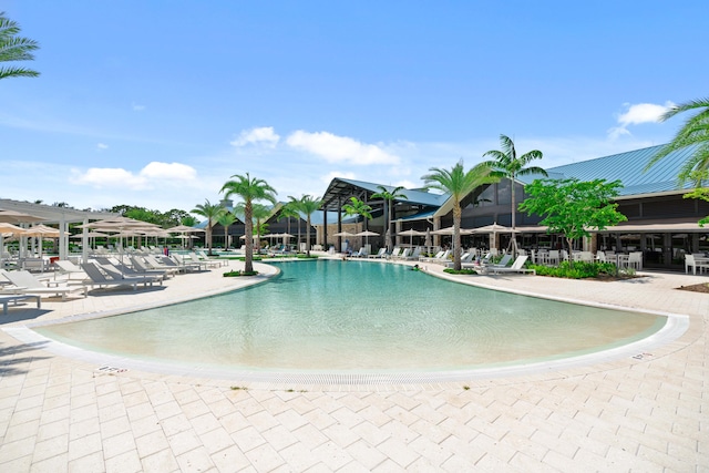 view of swimming pool with a patio