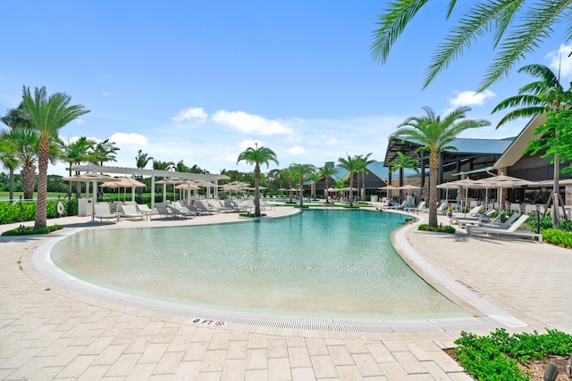 view of swimming pool featuring a patio