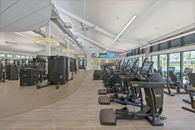 exercise room with hardwood / wood-style floors, high vaulted ceiling, and ceiling fan