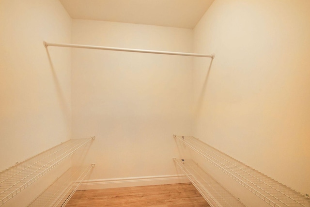 walk in closet featuring light hardwood / wood-style flooring