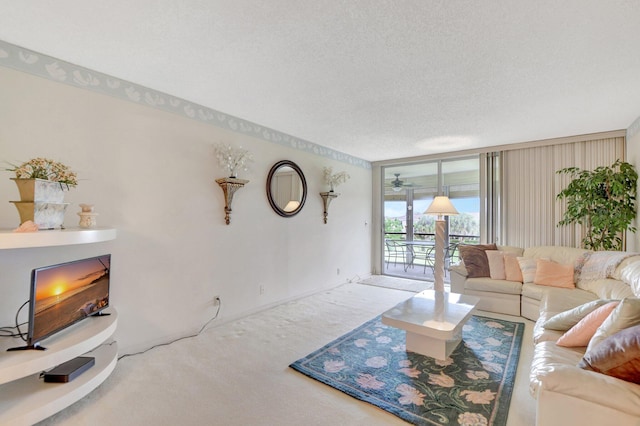 carpeted living room with a textured ceiling