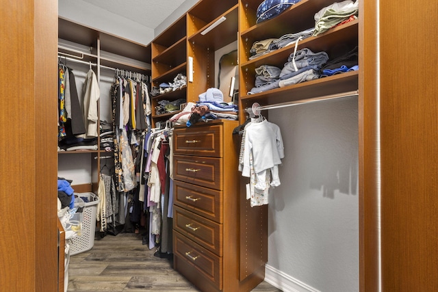 spacious closet with wood-type flooring