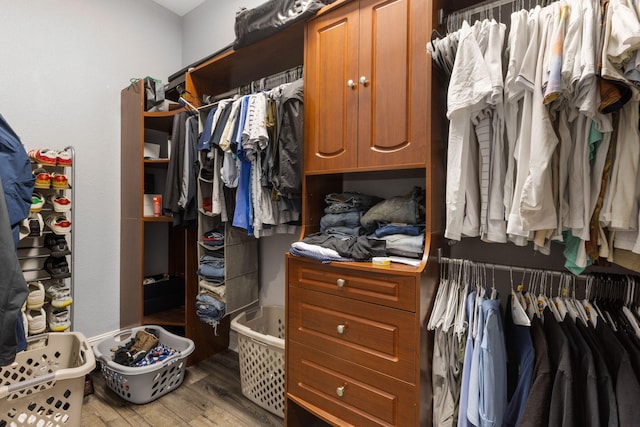 spacious closet with hardwood / wood-style flooring