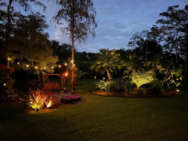 view of yard at dusk