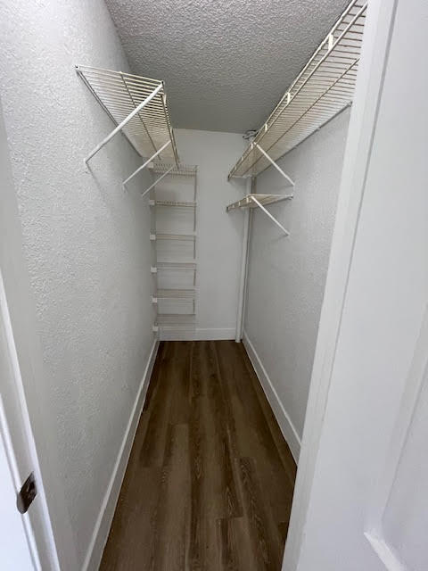 walk in closet featuring dark wood-type flooring