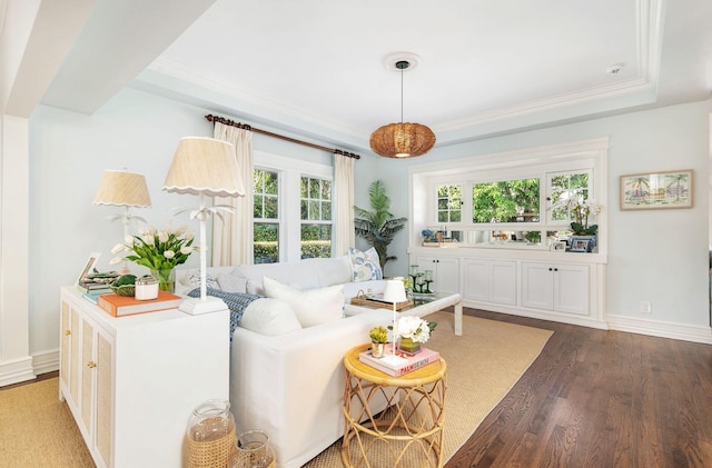 living room with dark wood-type flooring, crown molding, a healthy amount of sunlight, and a raised ceiling