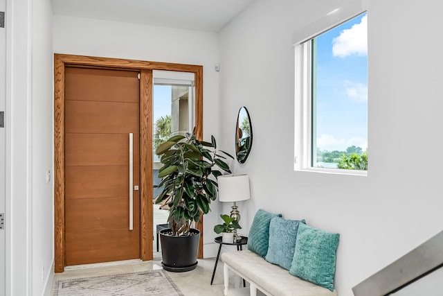 entrance foyer featuring a wealth of natural light