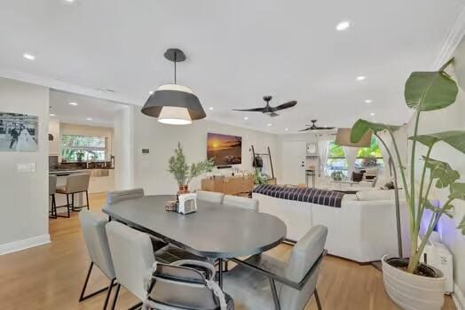 dining space featuring ceiling fan and light wood-type flooring