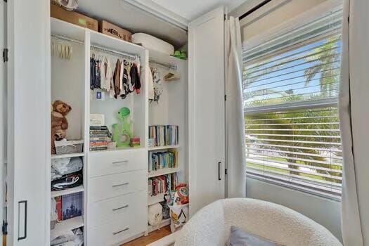 view of closet