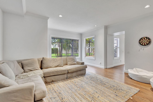 living room featuring ornamental molding and hardwood / wood-style flooring