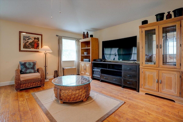 living room with light hardwood / wood-style floors