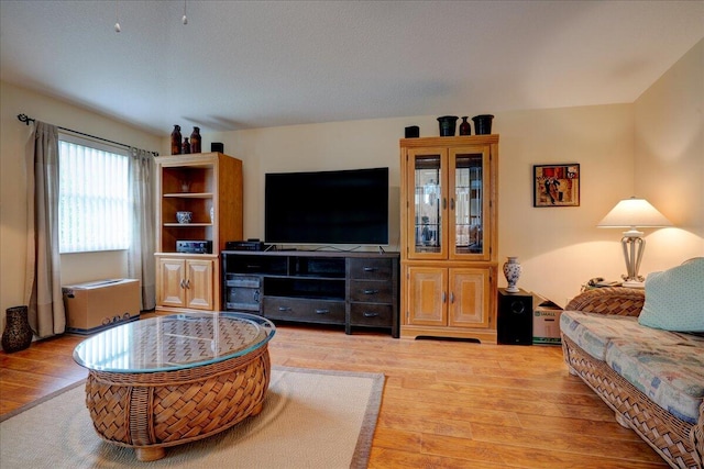 living room featuring hardwood / wood-style floors