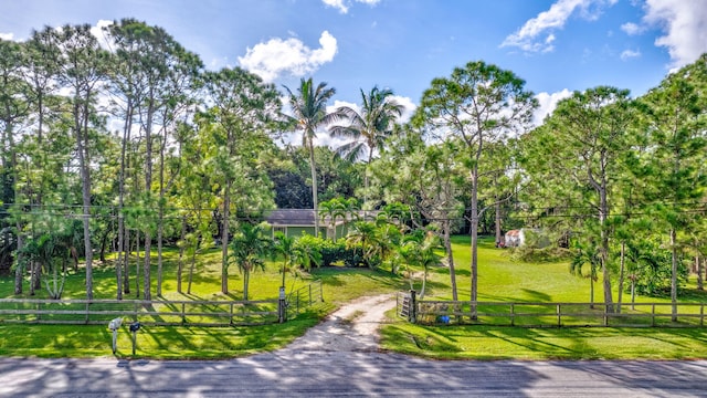 view of community featuring a yard