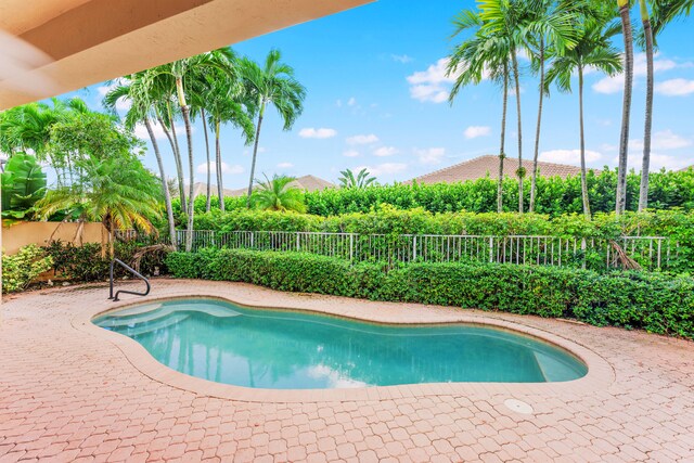 view of swimming pool featuring a patio