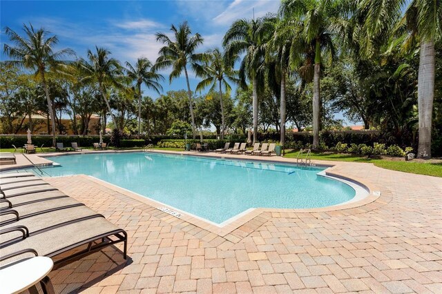 view of pool with a patio