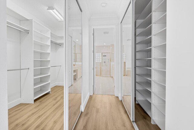 spacious closet featuring light hardwood / wood-style floors