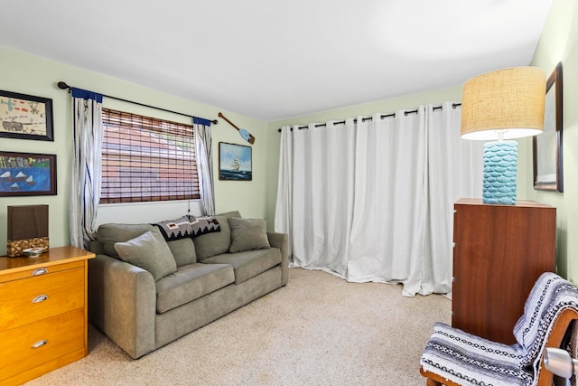 living room featuring light colored carpet