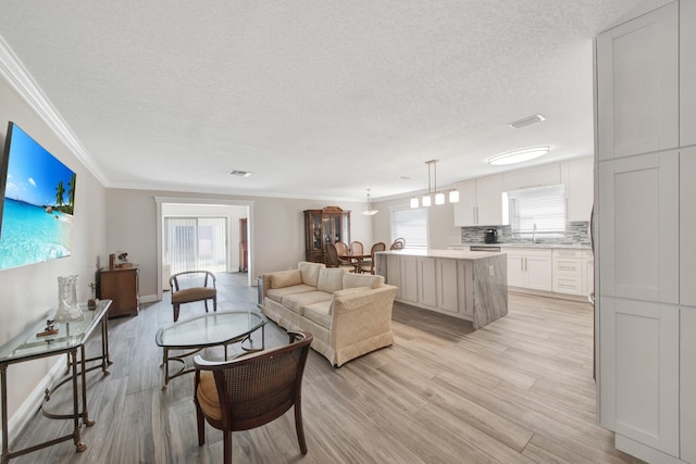 living room featuring a textured ceiling, sink, light wood-type flooring, and crown molding