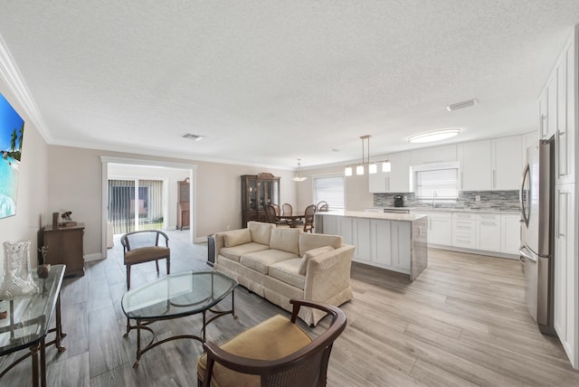 living room with a textured ceiling, light hardwood / wood-style floors, and a healthy amount of sunlight