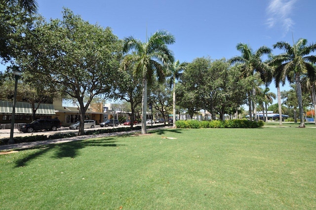 view of property's community featuring a yard