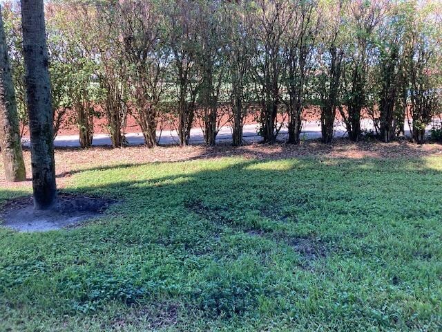 2811 Village Blvd Unit 106, West Palm Beach, FL 33409 - view of green lawn