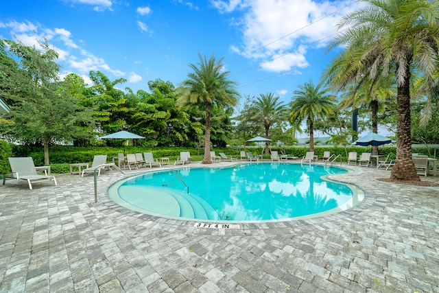 view of pool featuring a patio area