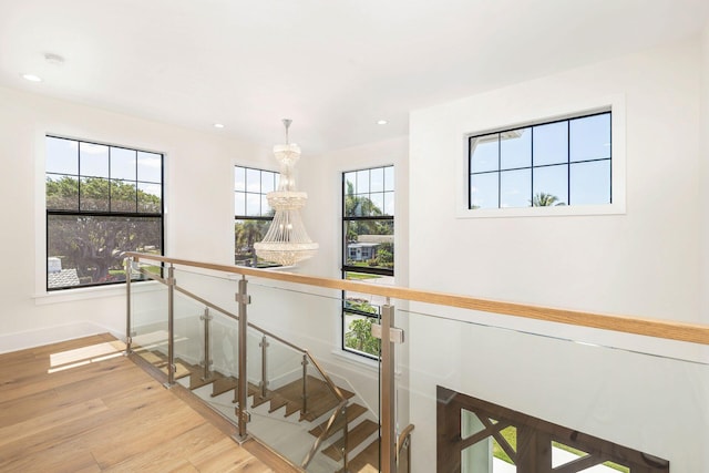 hall featuring a healthy amount of sunlight and light wood-type flooring