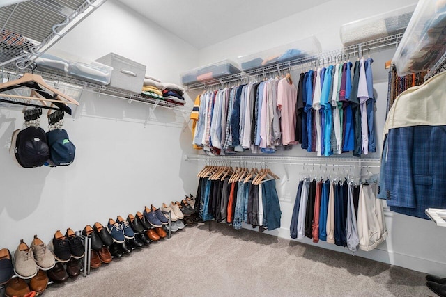 spacious closet featuring carpet