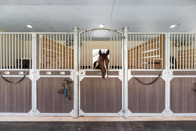 1464 Stallion Dr, Loxahatchee, FL 33470 - view of horse barn