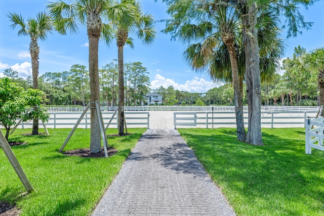 view of yard