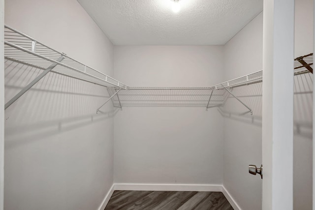 3200 SE Aster Ln Unit S-102, Stuart, FL 34994 - spacious closet with dark wood finished floors