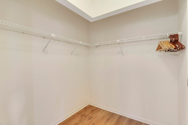 walk in closet with hardwood / wood-style flooring