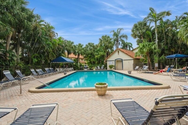 view of swimming pool with a patio