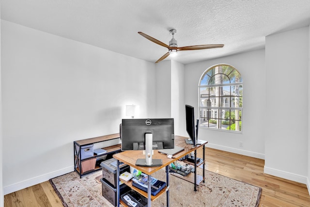 office featuring ceiling fan, a textured ceiling, and light wood-type flooring