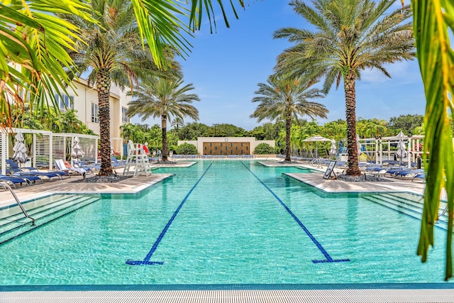 view of pool featuring a patio area