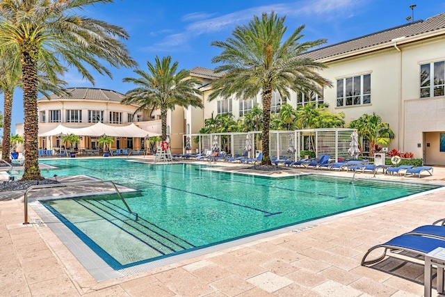 view of swimming pool with a patio