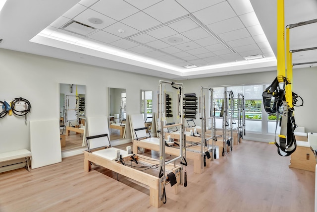 exercise room featuring light hardwood / wood-style flooring, a tray ceiling, and plenty of natural light