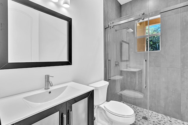 bathroom with vanity, a shower with shower door, and toilet