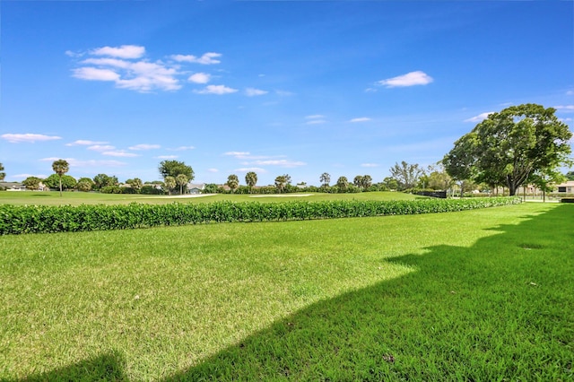 view of yard featuring a rural view