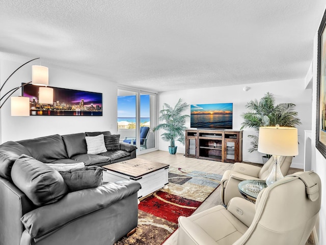 living room featuring hardwood / wood-style flooring and a textured ceiling