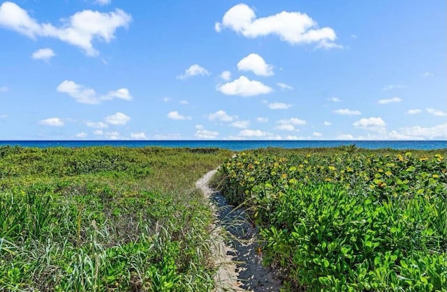 property view of water