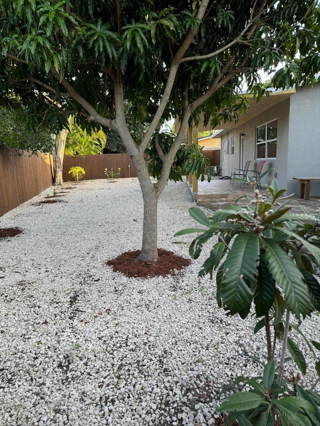 view of yard featuring a patio area