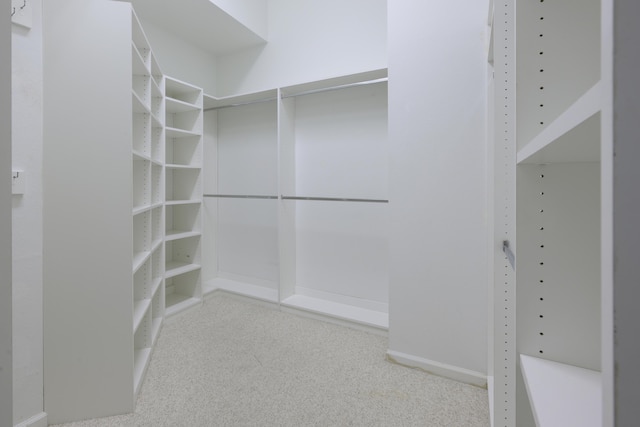 spacious closet featuring carpet flooring