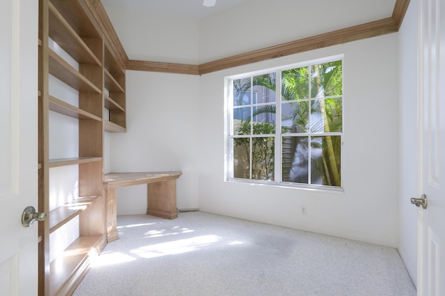 unfurnished office featuring light colored carpet